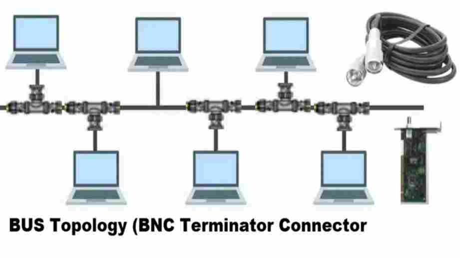 BNC connector  di topologi bu s.jpg